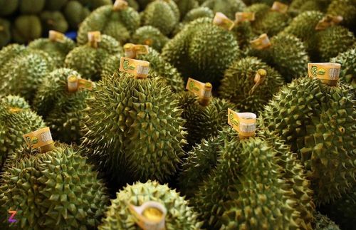 Suối Bon – Điểm đến bình yên giữa lòng Tây Bắc