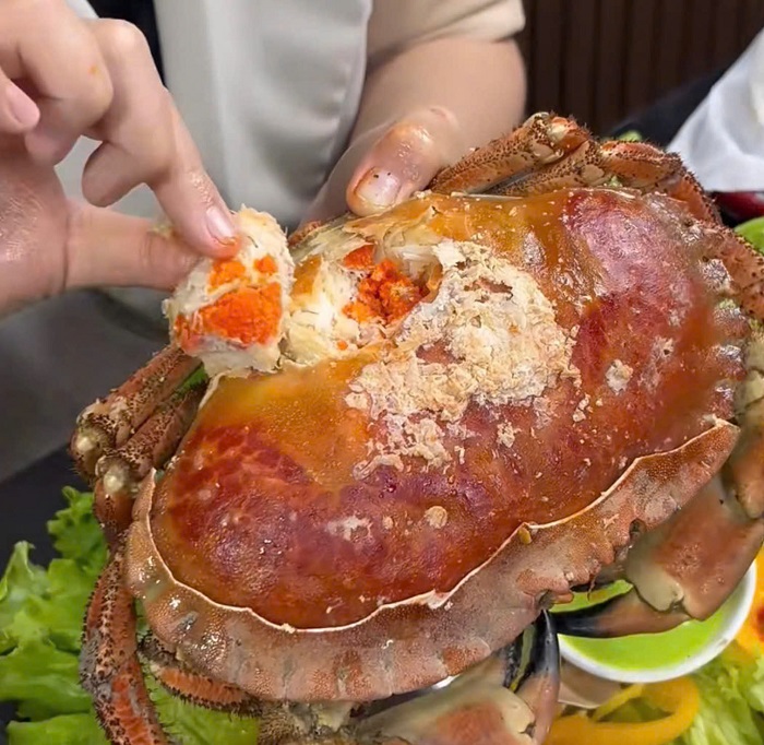 Hải Sản Trung Nam cung cấp cua nâu Nauy chính ngạch, cam kết chất lượng